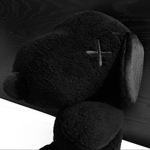 NWT Kaws x Peanuts plush doll